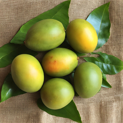 Rajapuri Mango 10kg