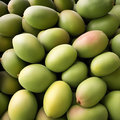 Kesar Mango 10kg